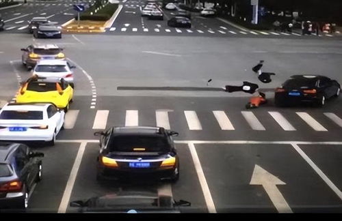 汽车相撞被罚款多少